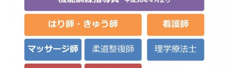 平成30年度東京都福祉保健局委託施術者講習会