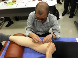 5月臨床のコツ　「膝窩筋炎と膝窩部ガングリオン」 小池 英義（渋谷）